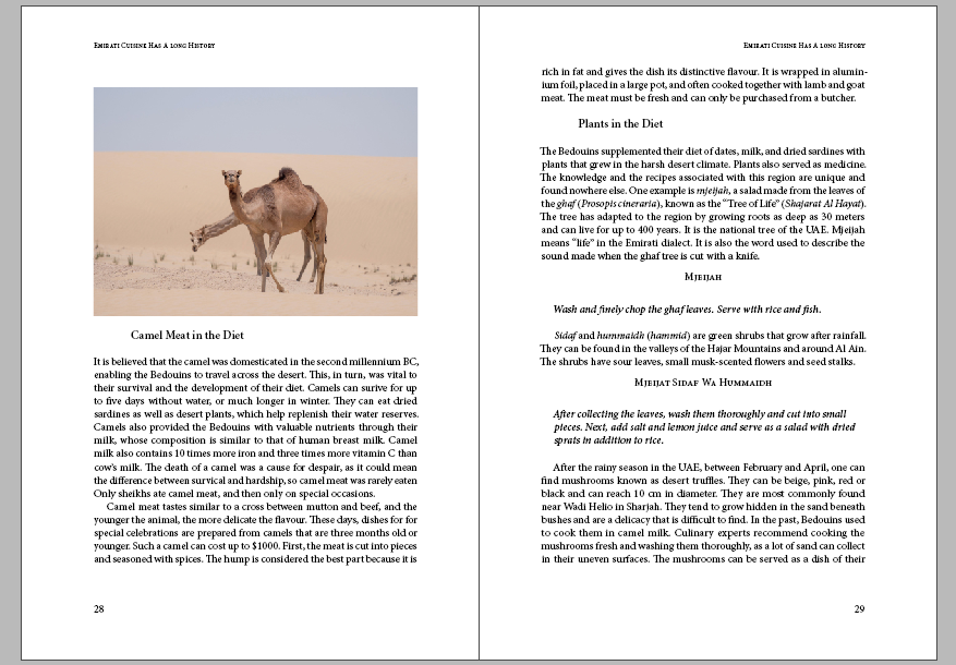 Skład wnętrza i projekt okładki książki The Secret Cuisine of the Emirates do Amazon KDP